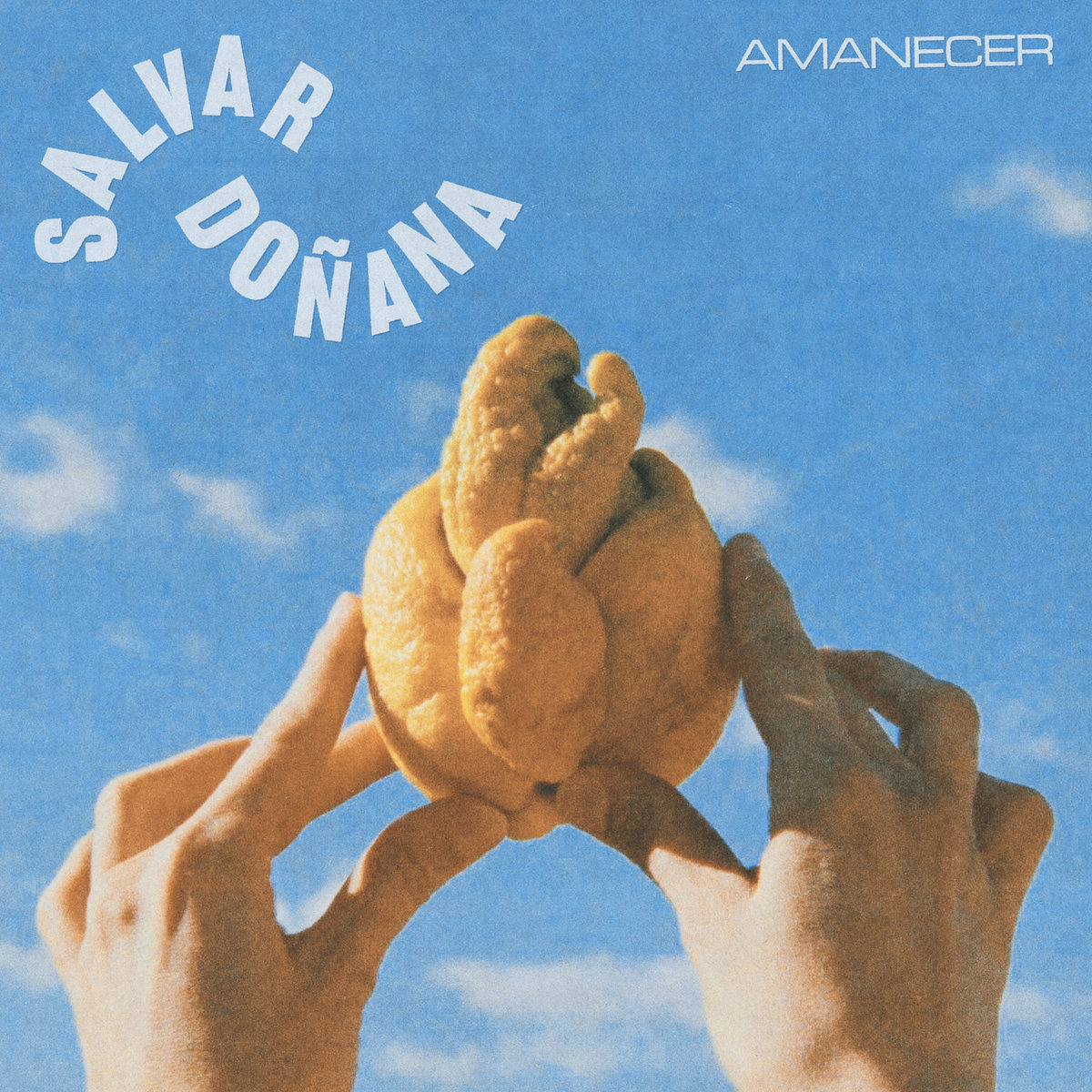 Salvar Doñana – Amanecer